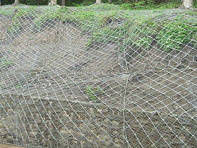 主動(dòng)防護(hù)網(wǎng)